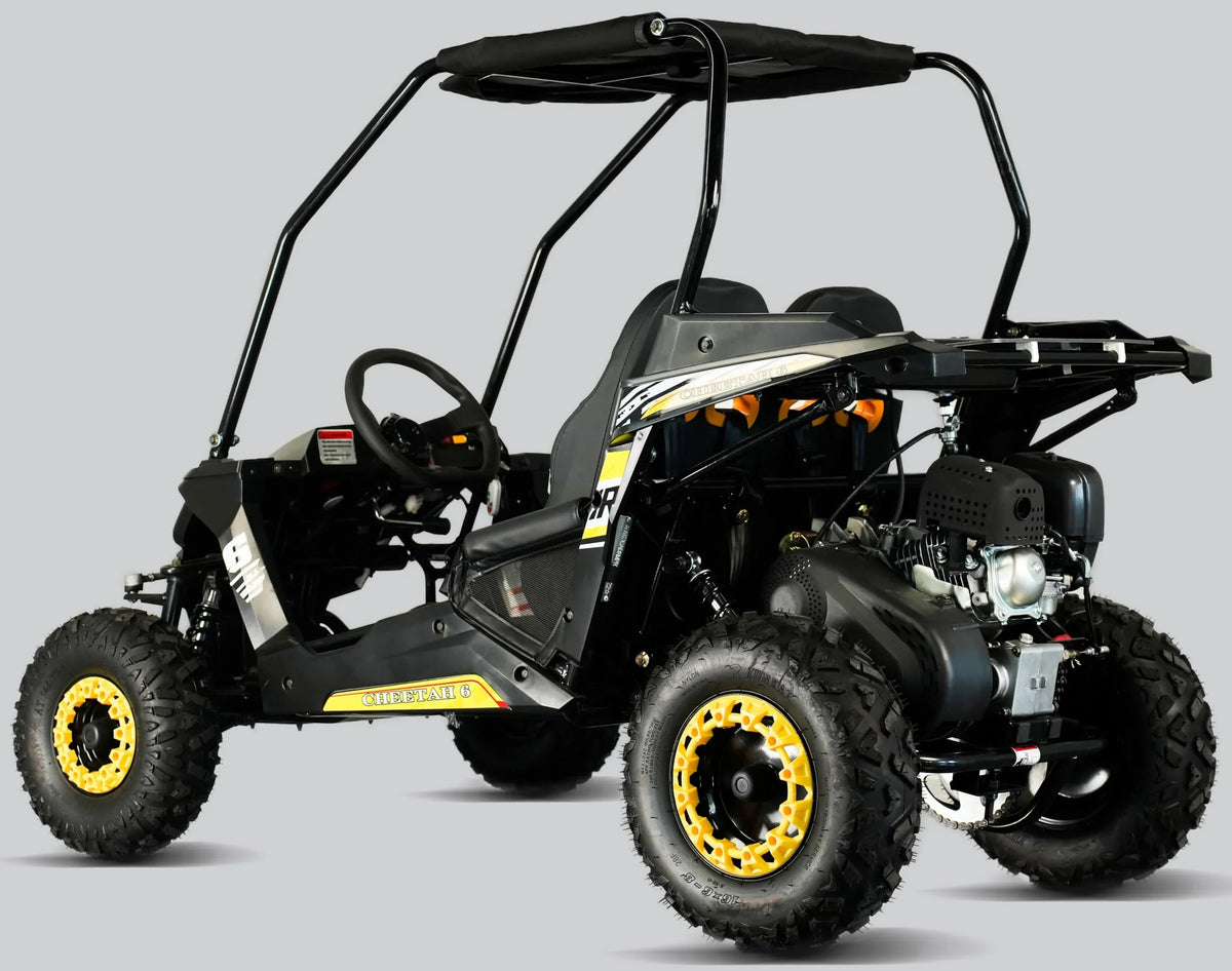 TrailMaster Cheetah 6 Youth Go-Kart - 163cc 5.5HP Engine, 4-Point Safety Belt, Remote Kill, Speed Governor, Suitable for Kids 6-12. with Pre-Assembled Version Now! (Pre-Assembled, Blue)