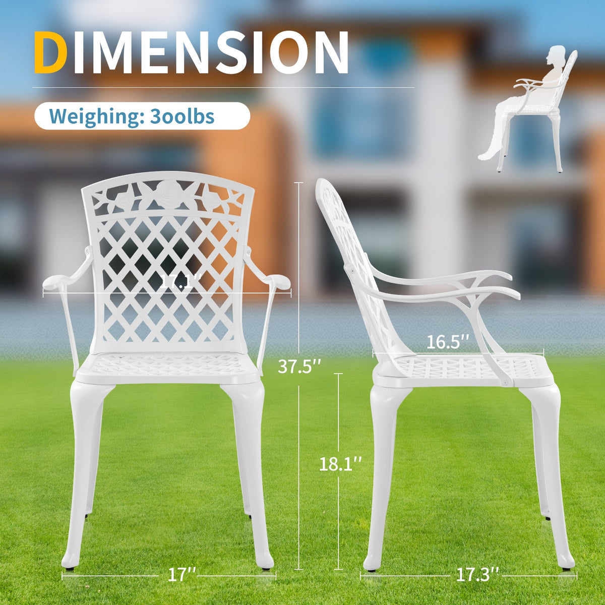 Withniture  Cast Aluminum Patio Furniture Outdoor Chairs Patio Bistro Chair Set of 2 with Armrest, Metal Chair for Garden, White