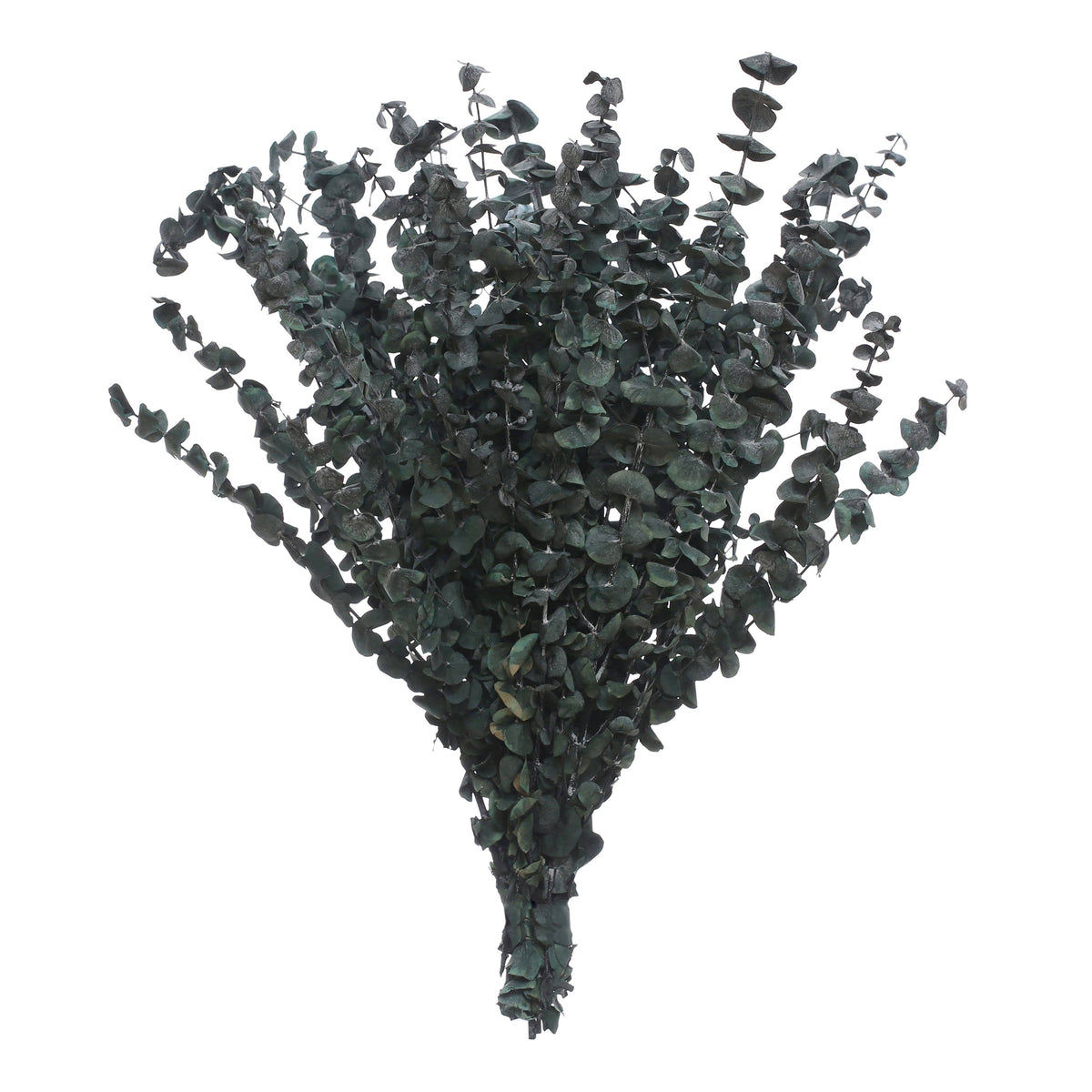 Ashland Eucalyptus Bunch - 16 oz